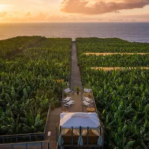 hacienda-la-dehesa-adults-only.in-canary-islands.com/