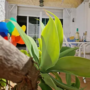 San Antonio - Beach, Pool And Terrace , Torremolinos España